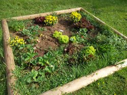 Naschgarten Kita Rober-Koch-Straße