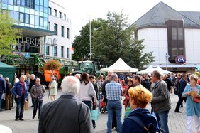 Knollenfest in Euskirchen