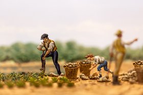Ausschnitt aus dem Diorama "Zuckerrübenernte um 1869"