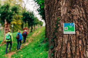 Eifelspuren, Bildrecht: Paul Meixner