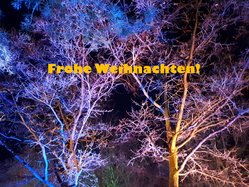 Weihnachtsgruß des Bürgermeisters