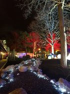 Klosterlichter im Klostergarten 2018