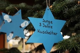 Wunschsterne des DKSB