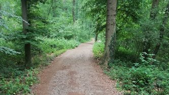 Trimm-Dich-Pfad im Euskirchener Stadtwald.