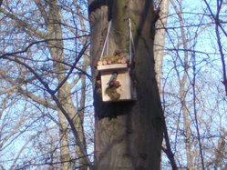Nistkasten des Familienzentrums Stotzheim