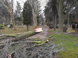 Sturmschaden auf dem Euskirchener Friedhof