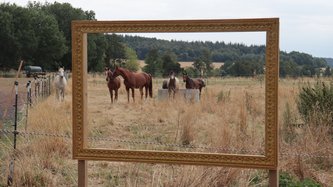 Ein Ausblick aus Schweinheim auf die Pferdewiesen. 
